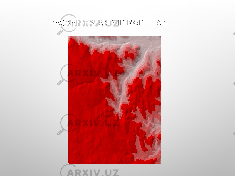 RAQAMLI BALANDLIK MODELLARI 