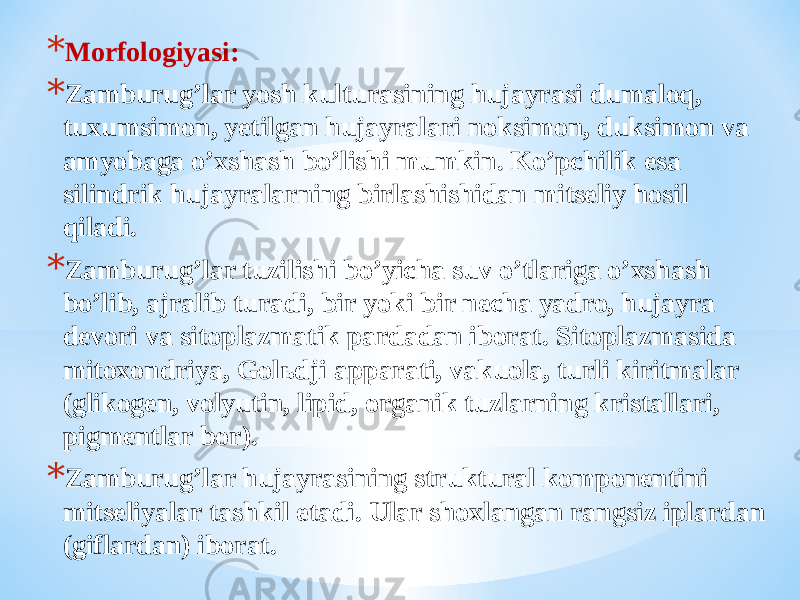 * Morfologiyasi: * Zamburugʼlar yosh kulturasining hujayrasi dumaloq, tuxumsimon, yetilgan hujayralari noksimon, duksimon va amyobaga oʼxshash boʼlishi mumkin. Koʼpchilik esa silindrik hujayralarning birlashishidan mitseliy hosil qiladi. * Zamburugʼlar tuzilishi boʼyicha suv oʼtlariga oʼxshash boʼlib, ajralib turadi, bir yoki bir necha yadro, hujayra devori va sitoplazmatik pardadan iborat. Sitoplazmasida mitoxondriya, Golьdji apparati, vakuola, turli kiritmalar (glikogen, volyutin, lipid, organik tuzlarning kristallari, pigmentlar bor). * Zamburugʼlar hujayrasining struktural komponentini mitseliyalar tashkil etadi. Ular shoxlangan rangsiz iplardan (giflardan) iborat. 