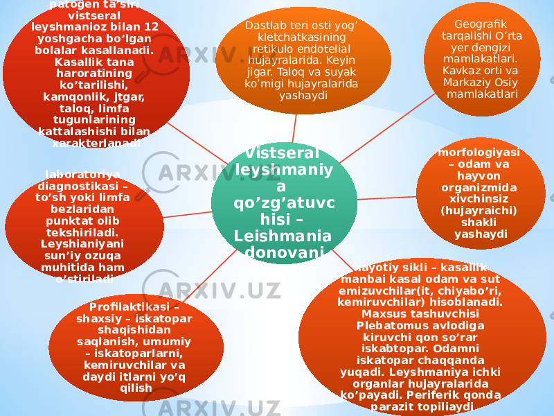 Vistseral leyshmaniy a qoʼzgʼatuvc hisi – Leishmania donovani Dastlab teri osti yogʼ kletchatkasining retikulo endotelial hujayralarida. Keyin jigar. Taloq va suyak koʼmigi hujayralarida yashaydi Geografik tarqalishi Oʼrta yer dengizi mamlakatlari. Kavkaz orti va Markaziy Osiy mamlakatlari morfologiyasi – odam va hayvon organizmida xivchinsiz (hujayraichi) shakli yashaydi hayotiy sikli – kasallik manbai kasal odam va sut emizuvchilar(it, chiyaboʼri, kemiruvchilar) hisoblanadi. Maxsus tashuvchisi Plebatomus avlodiga kiruvchi qon soʼrar iskabtopar. Odamni iskatopar chaqqanda yuqadi. Leyshmaniya ichki organlar hujayralarida koʼpayadi. Periferik qonda parazit topiliaydiProfilaktikasi – shaxsiy – iskatopar shaqishidan saqlanish, umumiy – iskatoparlarni, kemiruvchilar va daydi itlarni yoʼq qilishlaboratoriya diagnostikasi – toʼsh yoki limfa bezlaridan punktat olib tekshiriladi. Leyshianiyani sunʼiy ozuqa muhitida ham oʼstiriladipatogen taʼsiri vistseral leyshmanioz bilan 12 yoshgacha boʼlgan bolalar kasallanadi. Kasallik tana haroratining koʼtarilishi, kamqonlik, jtgar, taloq, limfa tugunlarining kattalashishi bilan xarakterlanadi 