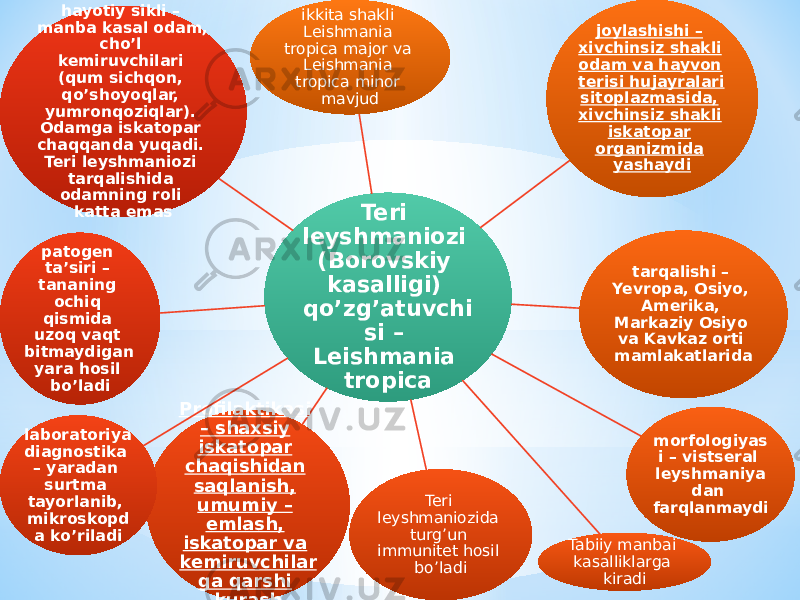 Teri leyshmaniozi (Borovskiy kasalligi) qoʼzgʼatuvchi si – Leishmania tropicaikkita shakli Leishmania tropica major va Leishmania tropica minor mavjud joylashishi – xivchinsiz shakli odam va hayvon terisi hujayralari sitoplazmasida, xivchinsiz shakli iskatopar organizmida yashaydi tarqalishi – Yevropa, Osiyo, Аmerika, Markaziy Osiyo va Kavkaz orti mamlakatlarida morfologiyas i – vistseral leyshmaniya dan farqlanmaydi Tabiiy manbai kasalliklarga kiradiTeri leyshmaniozida turgʼun immunitet hosil boʼladiProfilaktikasi – shaxsiy iskatopar chaqishidan saqlanish, umumiy – emlash, iskatopar va kemiruvchilar ga qarshi kurashlaboratoriya diagnostika – yaradan surtma tayorlanib, mikroskopd a koʼriladi patogen taʼsiri – tananing ochiq qismida uzoq vaqt bitmaydigan yara hosil boʼladi hayotiy sikli – manba kasal odam, choʼl kemiruvchilari (qum sichqon, qoʼshoyoqlar, yumronqoziqlar). Odamga iskatopar chaqqanda yuqadi. Teri leyshmaniozi tarqalishida odamning roli katta emas 