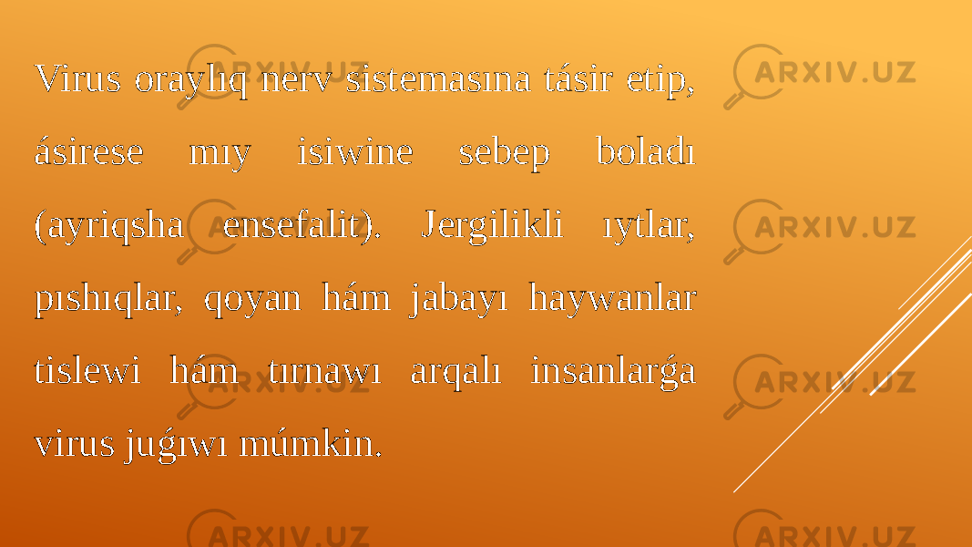 Virus oraylıq nerv sistemasına tásir etip, ásirese mıy isiwine sebep boladı (ayriqsha ensefalit). Jergilikli ıytlar, pıshıqlar, qoyan hám jabayı haywanlar tislewi hám tırnawı arqalı insanlarǵa virus juǵıwı múmkin. 