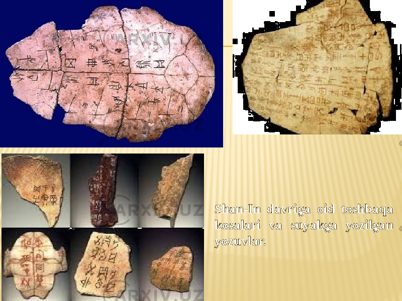 Shan-In davriga oid toshbaqa kosalari va suyakga yozilgan yozuvlar. 