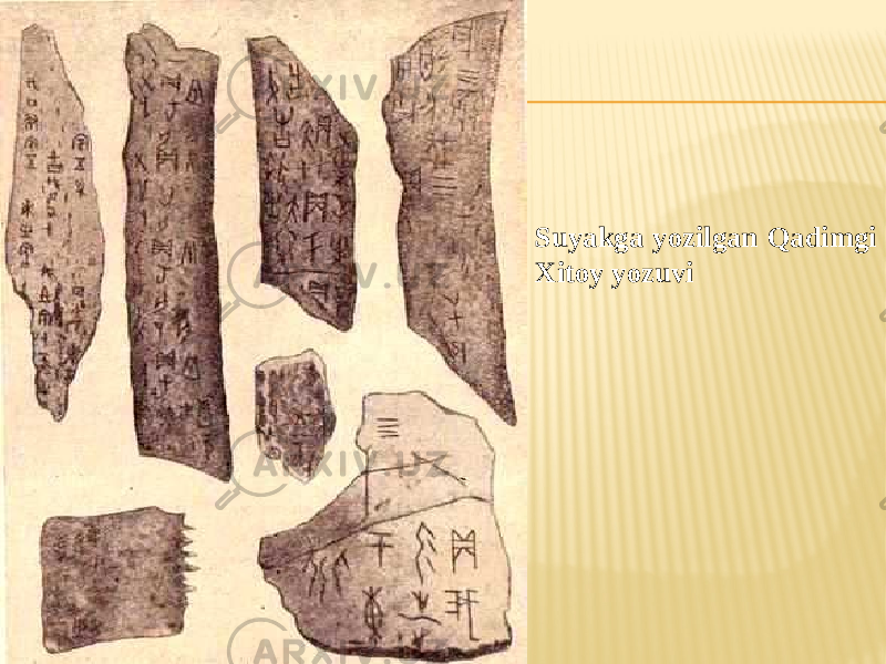 Suyakga yozilgan Qadimgi Xitoy yozuvi 