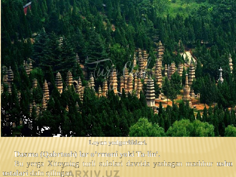 Daxma (Qabrtosh) lar o’rmoni yoki Ta-lin’. Bu yerga Xitoyning turli sulolari davrida yashagan mashhur ushu ustalari dafn qilingan. Loyan yodgorliklari. 