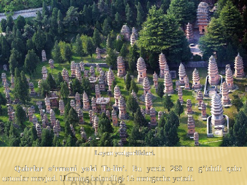Qabrlar o’rmoni yoki Ta-lin’. Bu yerda 260 ta g’ishtli qabr ustunlar mavjud. Ularning balandligi 15 metrgacha yetadi. Loyan yodgorliklari. 