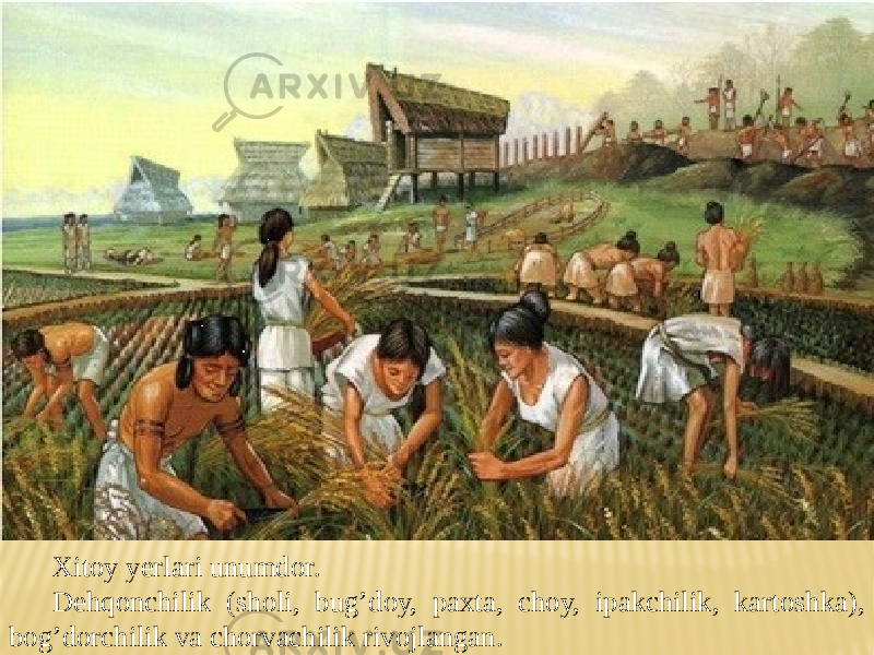Xitoy yerlari unumdor. Dehqonchilik (sholi, bug’doy, paxta, choy, ipakchilik, kartoshka), bog’dorchilik va chorvachilik rivojlangan. 