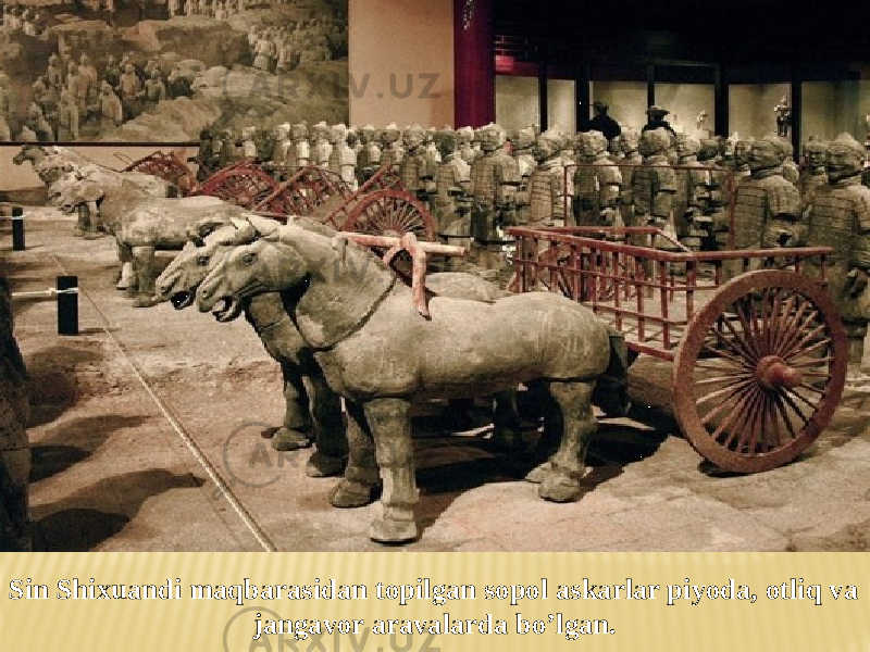 Sin Shixuandi maqbarasidan topilgan sopol askarlar piyoda, otliq va jangavor aravalarda bo’lgan. 