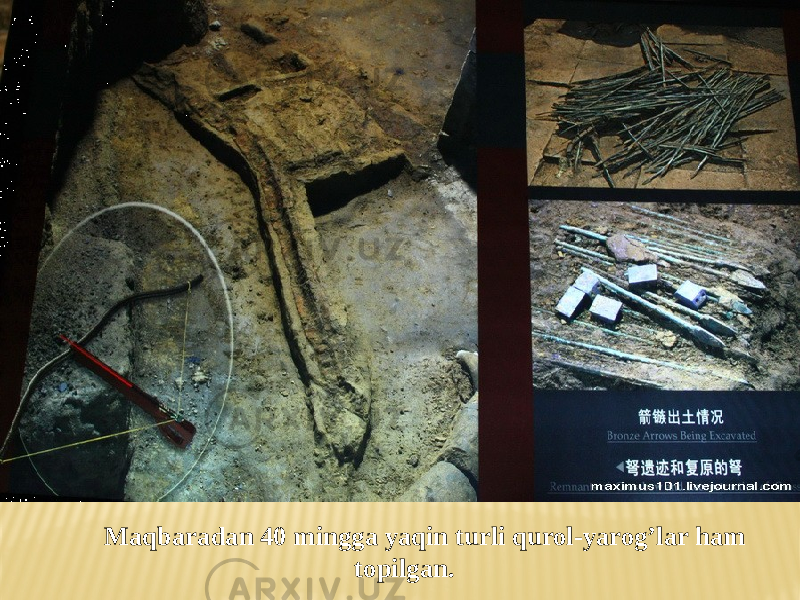 Maqbaradan 40 mingga yaqin turli qurol-yarog’lar ham topilgan. 