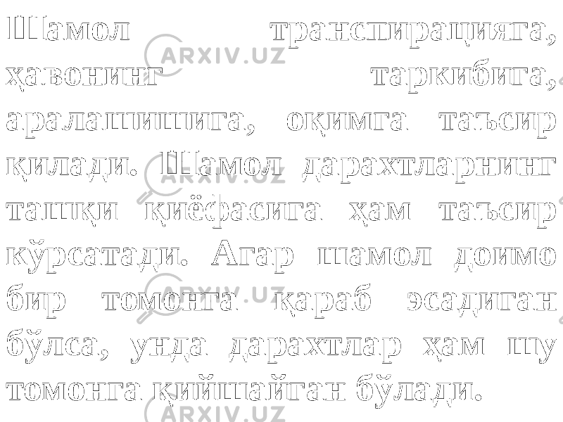 Шамол транспирацияга, ҳавонинг таркибига, аралашишига, оқимга таъсир қилади. Шамол дарахтларнинг ташқи қиёфасига ҳам таъсир кўрсатади. Агар шамол доимо бир томонга қараб эсадиган бўлса, унда дарахтлар ҳам шу томонга қийшайган бўлади. 