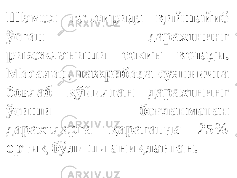 Шамол таъсирида қийшайиб ўсган дарахтнинг ривожланиши секин кечади. Масалан, тажрибада суянғичга боғлаб қўйилган дарахтнинг ўсиши боғланмаган дарахтларга қараганда 25% ортиқ бўлиши аниқланган. 