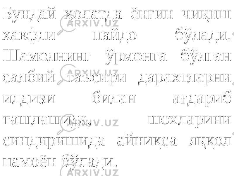 Бундай ҳолатда ёнғин чиқиш хавфли пайдо бўлади. Шамолнинг ўрмонга бўлган салбий таъсири дарахтларни илдизи билан ағдариб ташлашида, шохларини синдиришида айниқса яққол намоён бўлади. 