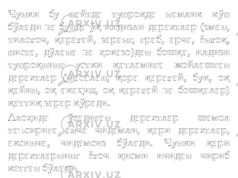 Чунки бу пайтда тупроқда намлик кўп бўлади ва бунда ўқ илдизли дарахтлар (эман, тилоғоч, қарағай, заранг, граб, арча, ёнғоқ, писта, дўлана ва ҳоказо)дан бошқа, илдизи тупроқнинг устки қатламига жойлашган дарахтлар (масалан, қора қарағай, бук, оқ қайин, оқ акация, оқ қарағай ва бошқалар) қаттиқ зарар кўради. Алоҳида ўсадиган дарахтлар шамол таъсирига анча чидамли, қари дарахтлар, аксинча, чидамсиз бўлади. Чунки қари дарахтларнинг ёғоч қисми ичидан чириб кетган бўлади. 