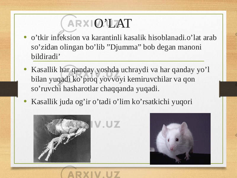 O’LAT • o’tkir infeksion va karantinli kasalik hisoblanadi.o’lat arab so’zidan olingan bo’lib ”Djumma” bob degan manoni bildiradi’ • Kasallik har qanday yoshda uchraydi va har qanday yo’l bilan yuqadi ko’proq yovvoyi kemiruvchilar va qon so’ruvchi hasharotlar chaqqanda yuqadi. • Kasallik juda og’ir o’tadi o’lim ko’rsatkichi yuqori 