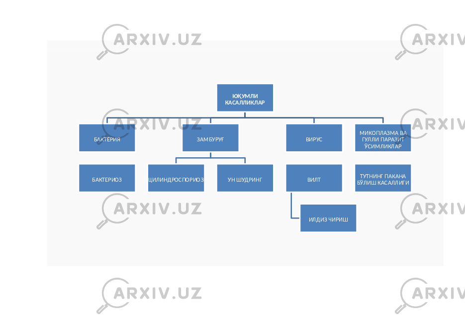  Ю ҚУМЛИ КАСАЛЛИКЛАР БАКТ ЕРИЯ БАКТЕРИОЗ ЗАМ БУ РУҒ ЦИЛИНДРОСПОРИОЗ УН ШУДРИНГ ВИ РУС ВИЛТ ИЛДИЗ ЧИР ИШ МИКОП ЛАЗМА ВА ГУЛЛИ ПАРАЗИТ ЎСИМ ЛИКЛАР ТУТНИНГ ПАКАНА БЎЛИШ КАСАЛЛИГИ 