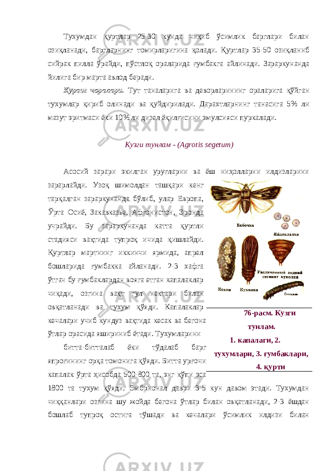 Тухумдан қуртлар 25-30 кунда чиқиб ўсимлик барглари билан озиқланади, баргларнинг томирларигина қолади. Қуртлар 35-50 озиқланиб сийрак пилла ўрайди, пўстлоқ ораларида ғумбакга айлинади. Зараркунанда йилига бир марта авлод беради. Кураш чоралари. Тут таналарига ва деворларининг ораларига қўйган тухумлар қириб олинади ва қуйдирилади. Дарахтларнинг танасига 5% ли мазут эритмаси ёки 10% ли дизел ёқилғисини эмулсияси пуркалади. Кузги тунлам - (Аgrotis segetum) Асосий зарари экилган уруғларни ва ёш ниҳолларни илдизларини зарарлайди. Узоқ шимолдан ташқари кенг тарқалган зараркунанда бўлиб, улар Европа, Ўрта Осиё, Закавказье, Афғонистон, Эронда учрайди. Бу зараркунанда катта қуртли стадияси вақтида тупроқ ичида қишлайди. Қуртлар мартнинг иккинчи ярмида, апрел бошларида ғумбакка айланади. 2-3 хафга ўтгач бу ғумбаклардан вояга етган капалаклар чиқади, озгина вақт гул нектари билан овқатланади ва тухум қўяди. Капалаклар кечалари учиб кундуз вақтида кесак ва бегона ўтлар орасида яшириниб ётади. Тухумларини битта-битталаб ёки тўдалаб барг япроғининг орқа томонига қўяди. Битта урғочи капалак ўрта ҳисобда 500-800 та, энг кўпи эса 1800 та тухум қўяди. Эмбрионал даври 3-5 кун давом этади. Тухумдан чиққанлари озгина шу жойда бегона ўтлар билан овқатланади, 2-3 ёшдан бошлаб тупроқ остига тўшади ва кечалари ўсимлик илдизи билан 76-расм. Кузги тунлам. 1. капалаги, 2. тухумлари, 3. ғумбаклари, 4. қурти 