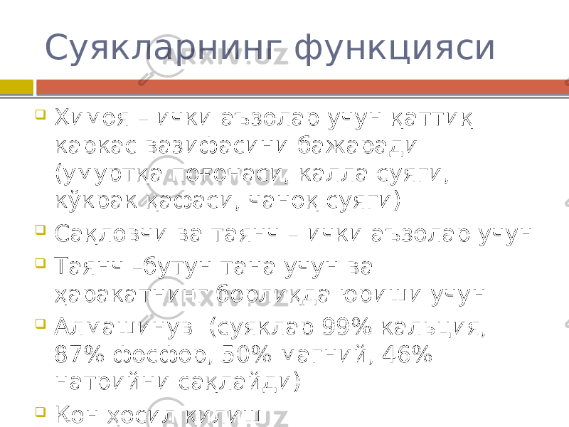 Суякларнинг функцияси  Ҳимоя – ички аъзолар учун қаттиқ каркас вазифасини бажаради (умуртқа поғонаси, калла суяги, кўкрак қафаси, чаноқ суяги)  Сақловчи ва таянч – ички аъзолар учун  Таянч –бутун тана учун ва ҳаракатнинг борлиқда юриши учун  Алмашинув (суяклар 99% кальция, 87% фосфор, 50% магний, 46% натрийни сақлайди)  Қон ҳосил қилиш 