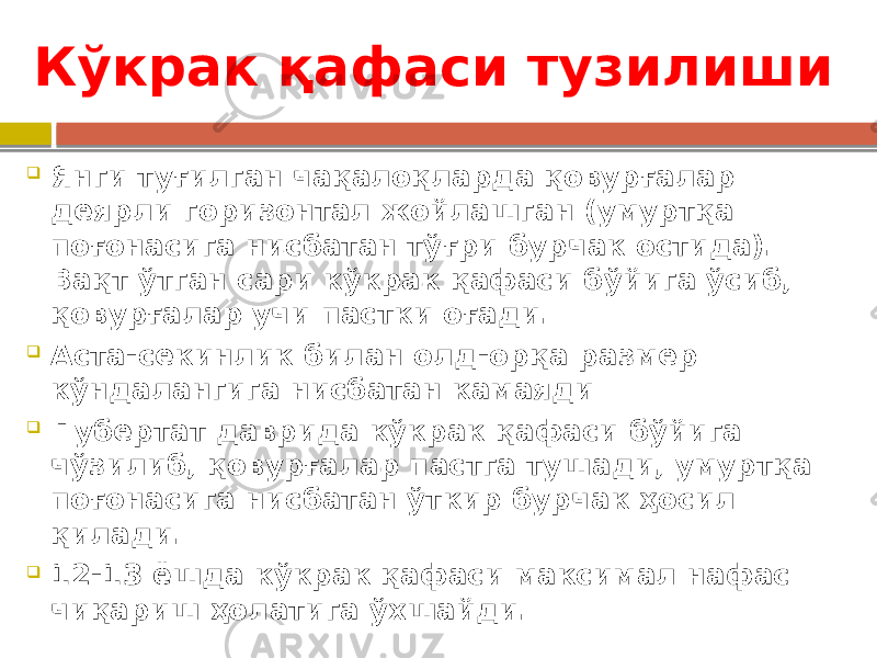 Кўкрак қафаси тузилиши  Янги туғилган чақалоқларда қовурғалар деярли горизонтал жойлашган (умуртқа поғонасига нисбатан тўғри бурчак остида). Вақт ўтган сари кўкрак қафаси бўйига ўсиб, қовурғалар учи пастки оғади.  Аста-секинлик билан олд-орқа размер кўндалангига нисбатан камаяди  Пубертат даврида кўкрак қафаси бўйига чўзилиб, қовурғалар пастга тушади, умуртқа поғонасига нисбатан ўткир бурчак ҳосил қилади.  12-13 ёшда кўкрак қафаси максимал нафас чиқариш ҳолатига ўхшайди. 