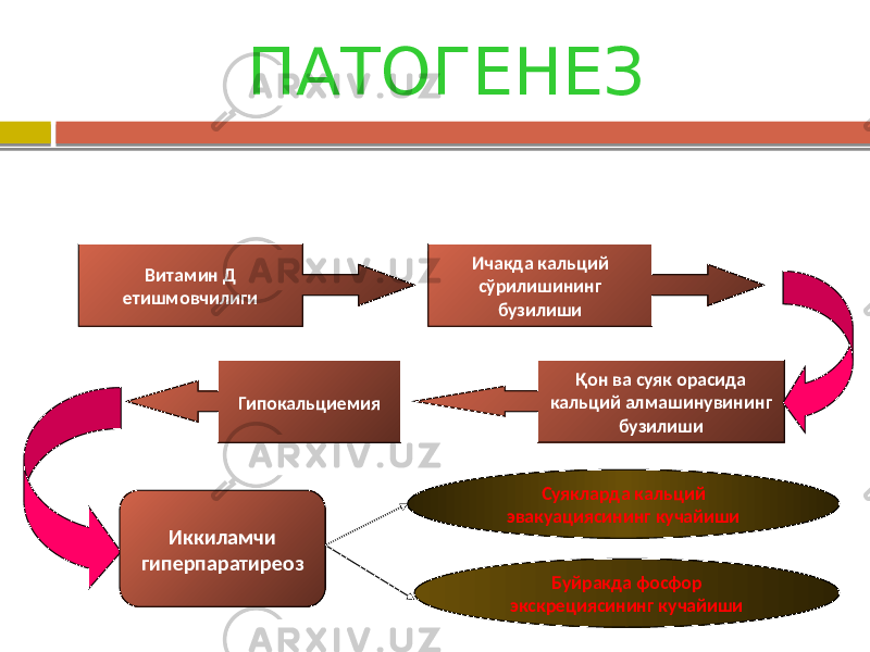 ПАТОГЕНЕЗ Витамин Д етишмовчилиги Ичакда кальций сўрилишининг бузилиши Қон ва суяк орасида кальций алмашинувининг бузилишиГипокальциемия Иккиламчи гиперпаратиреоз Суякларда кальций эвакуациясининг кучайиши Буйракда фосфор экскрециясининг кучайиши 