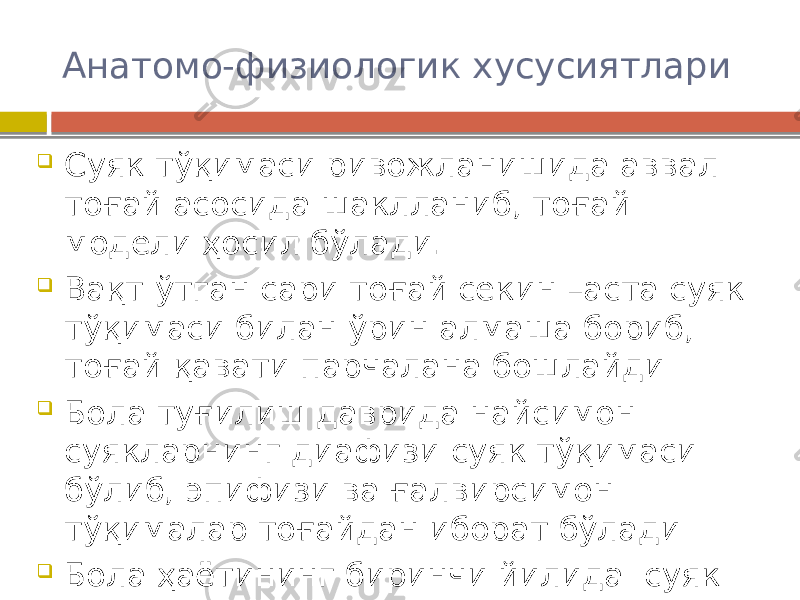 Анатомо-физиологик хусусиятлари  Суяк тўқимаси ривожланишида аввал тоғай асосида шаклланиб, тоғай модели ҳосил бўлади.  Вақт ўтган сари тоғай секин –аста суяк тўқимаси билан ўрин алмаша бориб, тоғай қавати парчалана бошлайди  Бола туғилиш даврида найсимон суякларнинг диафизи суяк тўқимаси бўлиб, эпифизи ва ғалвирсимон тўқималар тоғайдан иборат бўлади  Бола ҳаётининг биринчи йилида суяк тўқимасининг 50-70% қайта шаклланади 