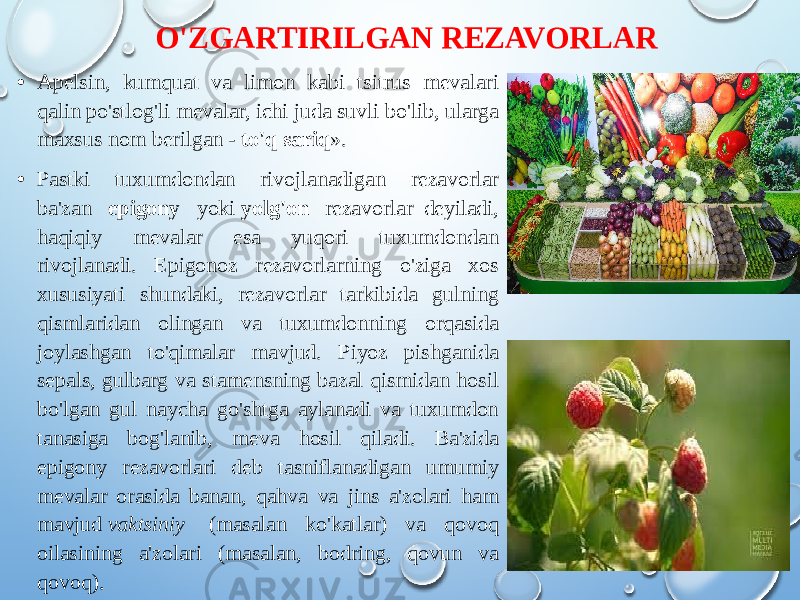 O&#39;ZGARTIRILGAN REZAVORLAR • Apelsin, kumquat va limon kabi tsitrus mevalari qalin po&#39;stlog&#39;li mevalar, ichi juda suvli bo&#39;lib, ularga maxsus nom berilgan -  to&#39;q sariq ». • Pastki tuxumdondan rivojlanadigan rezavorlar ba&#39;zan   epigony   yoki  yolg&#39;on   rezavorlar deyiladi, haqiqiy mevalar esa yuqori tuxumdondan rivojlanadi. Epigonoz rezavorlarning o&#39;ziga xos xususiyati shundaki, rezavorlar tarkibida gulning qismlaridan olingan va tuxumdonning orqasida joylashgan to&#39;qimalar mavjud. Piyoz pishganida sepals, gulbarg va stamensning bazal qismidan hosil bo&#39;lgan gul naycha go&#39;shtga aylanadi va tuxumdon tanasiga bog&#39;lanib, meva hosil qiladi. Ba&#39;zida epigony rezavorlari deb tasniflanadigan umumiy mevalar orasida banan, qahva va jins a&#39;zolari ham mavjud  vaktsiniy   (masalan ko&#39;katlar) va qovoq oilasining a&#39;zolari (masalan, bodring, qovun va qovoq). 