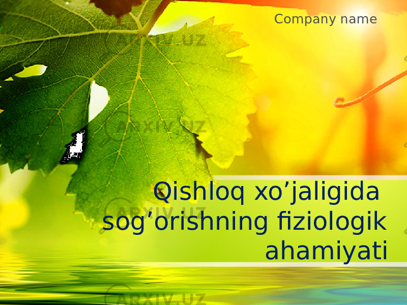 Qishloq xo’jaligida sog’orishning fiziologik ahamiyati Company name 