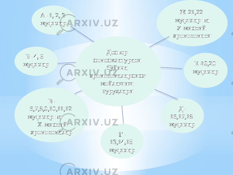 А- 1, 2, 3 жуфтлар Ж-21,22 жуфтлар ва У-жинсий хромосомаси Е-19,20 жуфтларБ- 4, 5 жуфтлар Г- 13,14,15 жуфтлар Д- 16,17,18 жуфтларВ- 6,7,8,9,10,11,12 жуфтлар ва Х-жинсий хромосомалар Денвер номенклатураси бўйича хромосомаларнинг жойлашиш гуруҳлари 