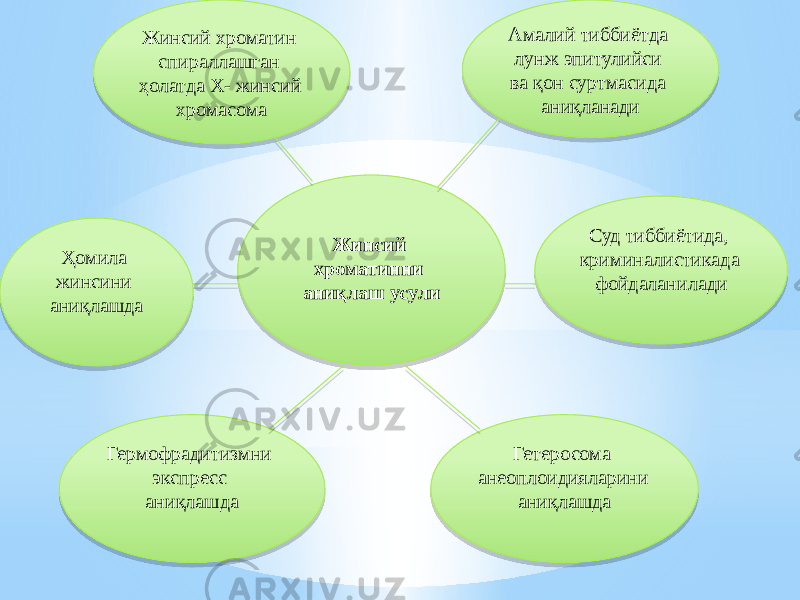 Жинсий хроматинни аниқлаш усули Суд тиббиётида, криминалистикада фойдаланилади Гетеросома анеоплоидияларини аниқлашдаГермофрадитизмни экспресс аниқлашдаҲомила жинсини аниқлашда Жинсий хроматин спираллашган ҳолатда Х- жинсий хромасома Амалий тиббиётда лунж эпитулийси ва қон суртмасида аниқланади4A 301318 0409 42 18 1A 2D 03 0312 2D 1C 03 2B15 20 03 43 08 1915 230715 3004 13 0B 03 