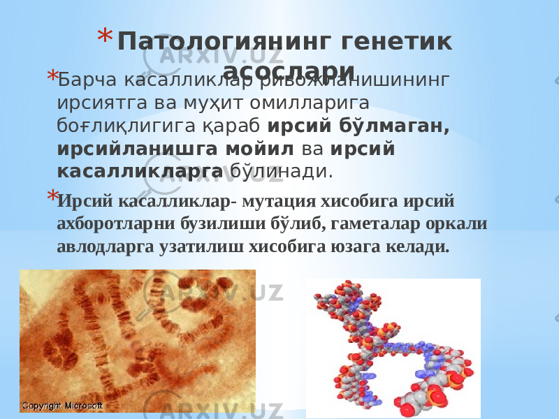 * Патологиянинг генетик асослари * Барча касалликлар ривожланишининг ирсиятга ва муҳит омилларига боғлиқлигига қараб ирсий бўлмаган, ирсийланишга мойил ва ирсий касалликларга бўлинади. * Ирсий касалликлар- мутация хисобига ирсий ахборотларни бузилиши бўлиб, гаметалар оркали авлодларга узатилиш хисобига юзага келади. 