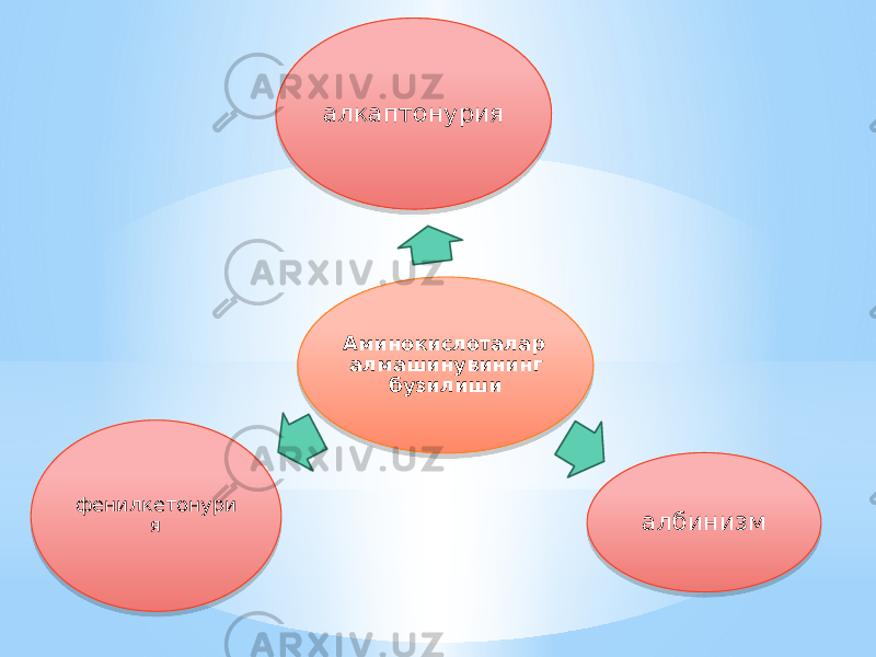 Аминокислоталар алмашинувининг бузилишиалкаптонурия албинизмфенилкетонури я14 0A 0F 12 12 28 3A 