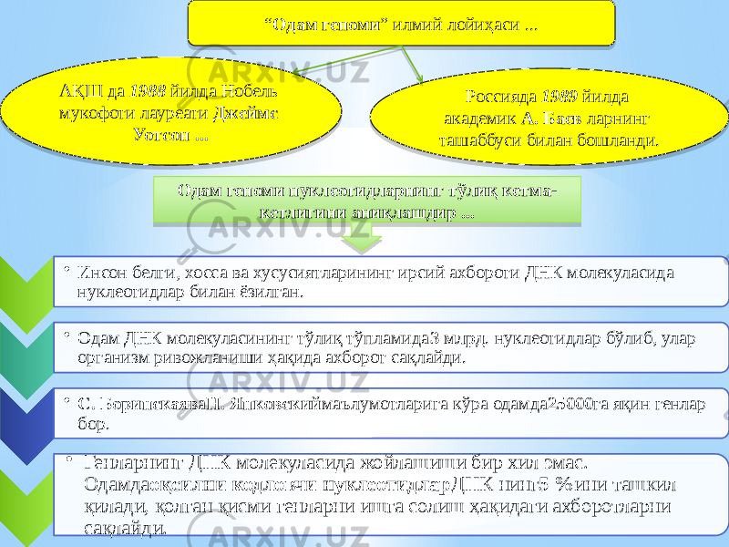 “ Одам геноми ” илмий лойиҳаси ... АҚШ да 1988 йилда Нобель мукофоти лауреати Джеймс Уотсон ... Россияда 1989 йилда академик А. Баев ларнинг ташаббуси билан бошланди. • Инсон белги, хосса ва хусусиятларининг ирсий ахбороти ДНК молекуласида нуклеотидлар билан ёзилган. • Одам ДНК молекуласининг тўлиқ тўпламида 3 млрд . нуклеотидлар бўлиб, улар организм ривожланиши ҳақида ахборот сақлайди. • С. Боринская ва Н. Янковский маълумотларига кўра одамда 25000 га яқин генлар бор. • Генларнинг ДНК молекуласида жойлашиши бир хил эмас. Одамда оқсилни кодловчи нуклеотидлар ДНК нинг 5 % ини ташкил қилади, қолган қисми генларни ишга солиш ҳақидаги ахборотларни сақлайди. Одам геноми нуклеотидларнинг тўлиқ кетма- кетлигини аниқлашдир ...2E 02 2F 30 01 05 041018 29 37 34 01020302 05 0318 1C1B 1303 0A 02 0C 