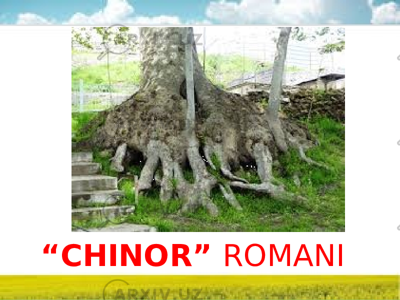 “ CHINOR” ROMANI 