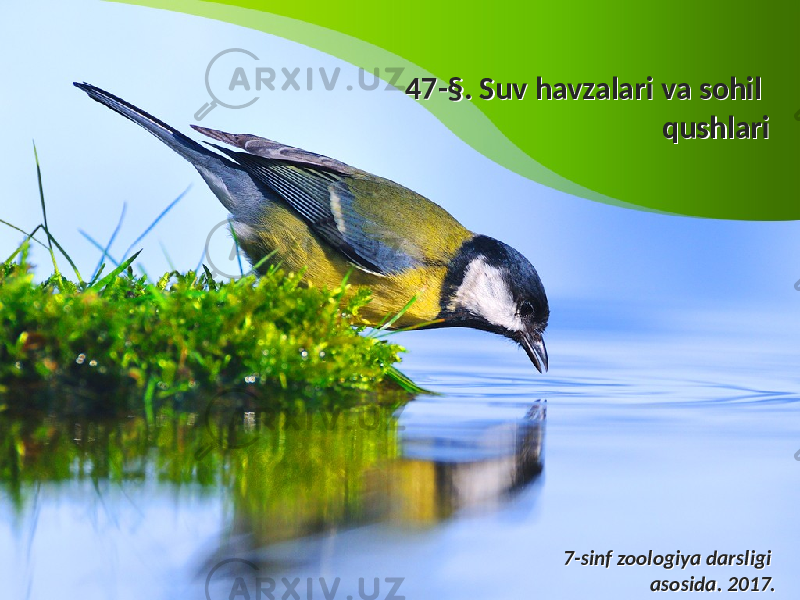 47-§. Suv havzalari va sohil qushlari47-§. Suv havzalari va sohil qushlari 7-sinf zoologiya darsligi asosida. 2017.7-sinf zoologiya darsligi asosida. 2017. 