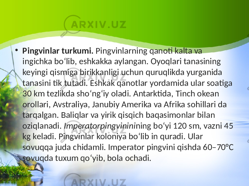 • Pingvinlar turkumi. Pingvinlarning qanoti kalta va ingichka bo‘lib, eshkakka aylangan. Oyoqlari tanasining keyingi qismiga birikkanligi uchun quruqlikda yurganida tanasini tik tutadi. Eshkak qanotlar yordamida ular soatiga 30 km tezlikda sho‘ng‘iy oladi. Antarktida, Tinch okean orollari, Avstraliya, Janubiy Amerika va Afrika sohillari da tarqalgan. Baliqlar va yirik qisqich baqasimonlar bilan oziqlanadi. Imperatorpingvinini ning bo‘yi 120 sm, vazni 45 kg keladi. Pingvinlar koloniya bo‘lib in quradi. Ular sovuqqa juda chidamli. Imperator pingvini qishda 60–70°C sovuqda tuxum qo‘yib, bola ochadi. 