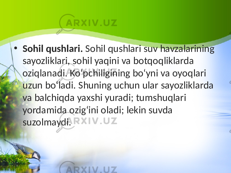 • Sohil qushlari. Sohil qushlari suv havzalarining sayozliklari, sohil yaqini va botqoqliklarda oziqlanadi. Ko‘pchiligining bo‘yni va oyoqlari uzun bo‘ladi. Shuning uchun ular sayozliklarda va balchiqda yaxshi yuradi; tumshuqlari yordamida ozig‘ini oladi; lekin suvda suzolmaydi. 