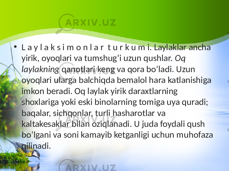 • L a y l a k s i m o n l a r t u r k u m i. Laylaklar ancha yirik, oyoqlari va tumshug‘i uzun qushlar. Oq laylakning qanotlari keng va qora bo‘ladi. Uzun oyoqlari ularga balchiqda bemalol hara katlanishiga imkon beradi. Oq laylak yirik daraxtlarning shoxlariga yoki eski binolarning tomiga uya quradi; baqalar, sichqonlar, turli hasharotlar va kaltakesaklar bilan oziqlanadi. U juda foydali qush bo‘lgani va soni kamayib ketganligi uchun muhofaza qilinadi. 