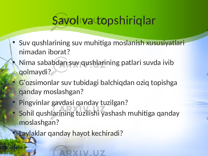 Savol va topshiriqlar • Suv qushlarining suv muhitiga moslanish xususiyatlari nimadan iborat? • Nima sababdan suv qushlarining patlari suvda ivib qolmaydi? • G‘ozsimonlar suv tubidagi balchiqdan oziq topishga qanday moslashgan? • Pingvinlar gavdasi qanday tuzilgan? • Sohil qushlarining tuzilishi yashash muhitiga qanday moslashgan? • Laylaklar qanday hayot kechiradi? 