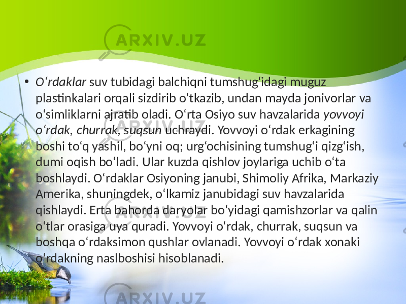 • O‘rdaklar suv tubidagi balchiqni tumshug‘idagi muguz plastinkalari orqali sizdirib o‘tkazib, undan mayda jonivorlar va o‘simliklarni ajratib oladi. O‘rta Osiyo suv havzalarida yovvoyi o‘rdak, churrak, suqsun uchraydi. Yovvoyi o‘rdak erkagining boshi to‘q yashil, bo‘yni oq; urg‘ochisining tumshug‘i qizg‘ish, dumi oqish bo‘ladi. Ular kuzda qishlov joylariga uchib o‘ta boshlaydi. O‘rdaklar Osiyoning janubi, Shimoliy Afrika, Markaziy Amerika, shuningdek, o‘lkamiz janubidagi suv havzalarida qishlaydi. Erta bahorda daryolar bo‘yidagi qamishzorlar va qalin o‘tlar orasiga uya quradi. Yovvoyi o‘rdak, churrak, suqsun va boshqa o‘rdaksimon qushlar ovlanadi. Yovvoyi o‘rdak xonaki o‘rdakning naslboshisi hisoblanadi. 