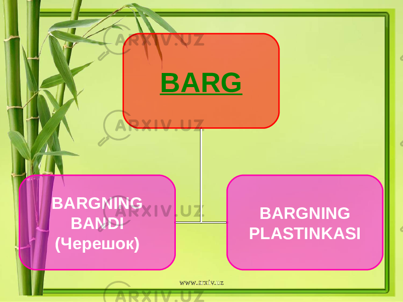 BARG BARGNING BANDI ( Черешок ) BARGNING PLASTINKASI www.arxiv.uz 