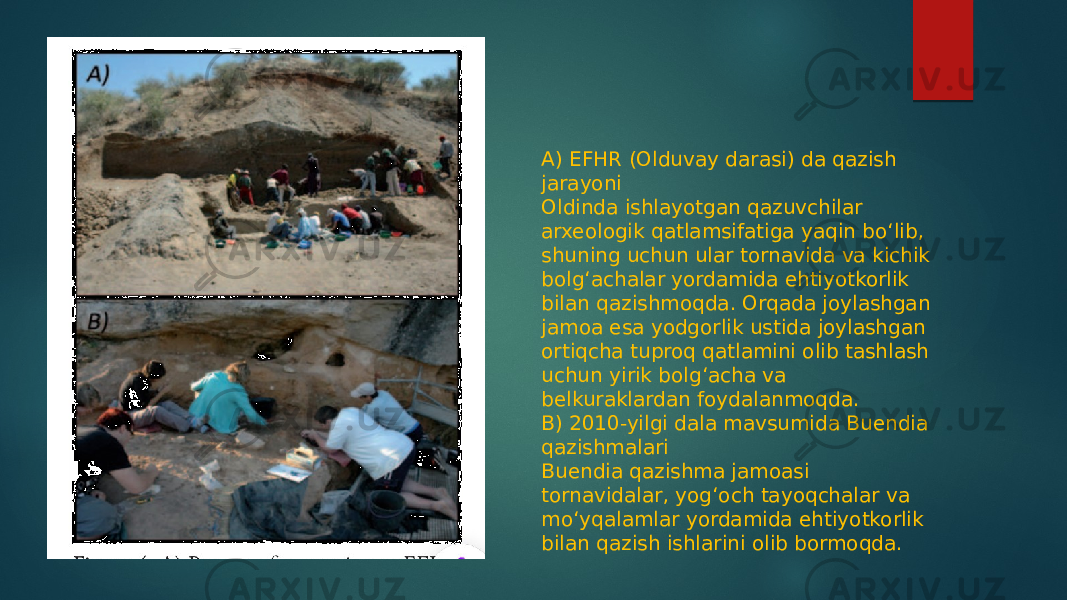 A) EFHR (Olduvay darasi) da qazish jarayoni Oldinda ishlayotgan qazuvchilar arxeologik qatlamsifatiga yaqin bo‘lib, shuning uchun ular tornavida va kichik bolg‘achalar yordamida ehtiyotkorlik bilan qazishmoqda. Orqada joylashgan jamoa esa yodgorlik ustida joylashgan ortiqcha tuproq qatlamini olib tashlash uchun yirik bolg‘acha va belkuraklardan foydalanmoqda. B) 2010-yilgi dala mavsumida Buendia qazishmalari Buendia qazishma jamoasi tornavidalar, yog‘och tayoqchalar va mo‘yqalamlar yordamida ehtiyotkorlik bilan qazish ishlarini olib bormoqda. 
