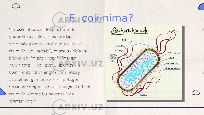 E. coli nima? &#34;E. coli&#34;  iborasini ko&#39;pincha turli yuqumli kasalliklar mavzusidagi ommaviy axborot vositalarida topish mumkin. Shu sababli, maxsus tibbiy va biologik bilimlarga ega bo&#39;lmagan odamlarda E. coli ovqat hazm qilish tizimi kasalliklarining deyarli asosiy sababi bo&#39;lgan juda zararli patogen organizm degan taassurot paydo bo&#39;lishi mumkin. Ammo bu bayonot faqat qisman to&#39;g&#39;ri. 