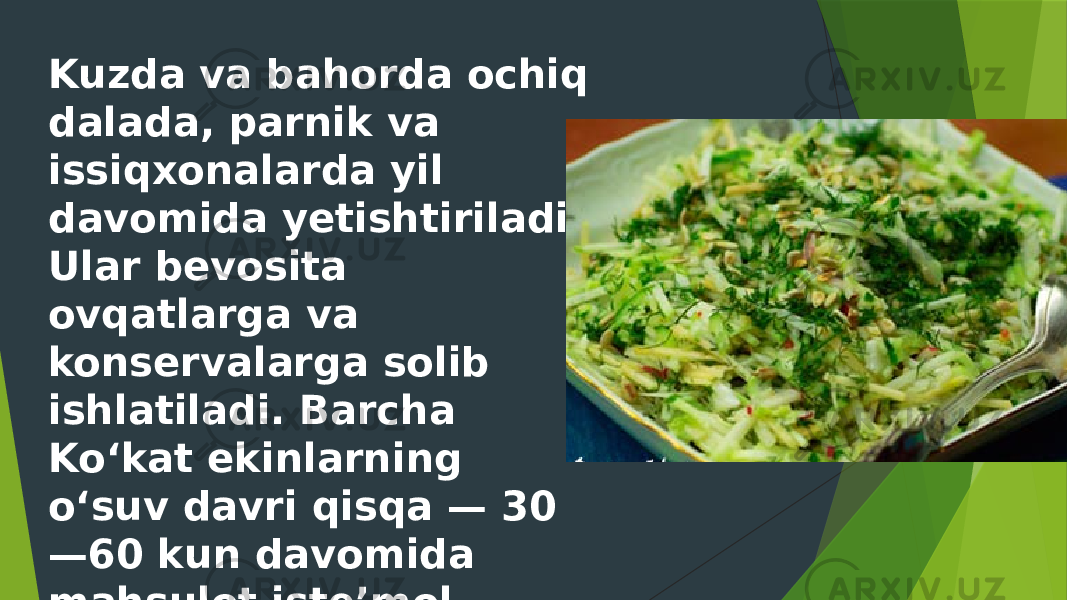 Kuzda va bahorda ochiq dalada, parnik va issiqxonalarda yil davomida yetishtiriladi. Ular bevosita ovqatlarga va konservalarga solib ishlatiladi. Barcha Koʻkat ekinlarning oʻsuv davri qisqa — 30 —60 kun davomida mahsulot isteʼmol uchun tayyor boʻladi. 