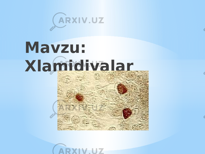 Mavzu: Xlamidiyalar 