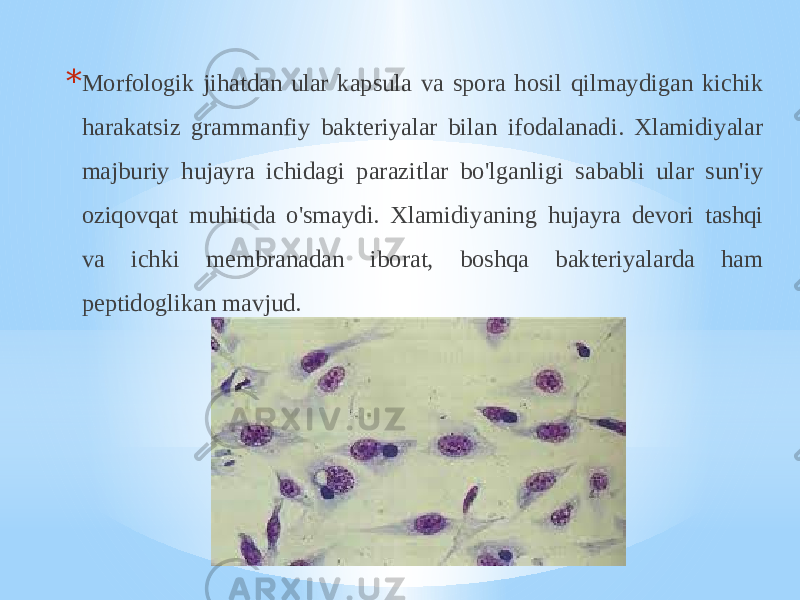 * Morfologik jihatdan ular kapsula va spora hosil qilmaydigan kichik harakatsiz grammanfiy bakteriyalar bilan ifodalanadi. Xlamidiyalar majburiy hujayra ichidagi parazitlar bo&#39;lganligi sababli ular sun&#39;iy oziqovqat muhitida o&#39;smaydi. Xlamidiyaning hujayra devori tashqi va ichki membranadan iborat, boshqa bakteriyalarda ham peptidoglikan mavjud. 