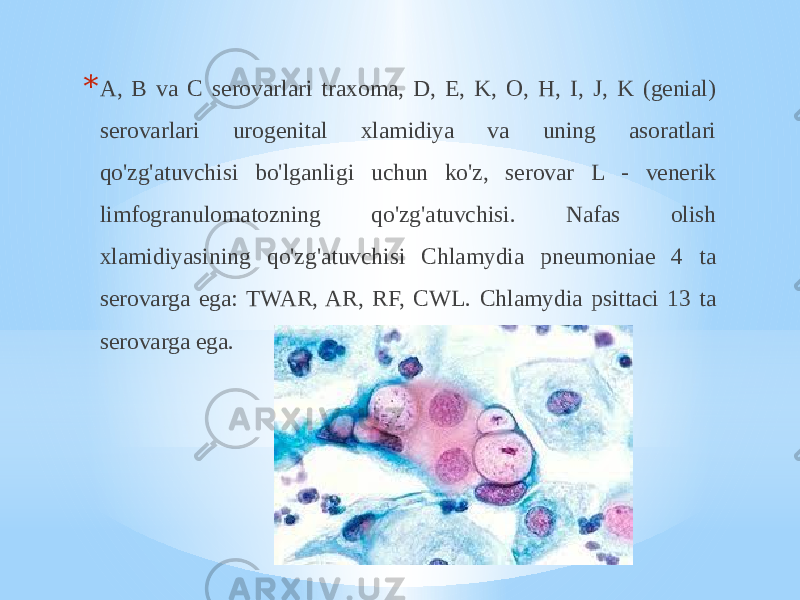 * A, B va C serovarlari traxoma, D, E, K, O, H, I, J, K (genial) serovarlari urogenital xlamidiya va uning asoratlari qo&#39;zg&#39;atuvchisi bo&#39;lganligi uchun ko&#39;z, serovar L - venerik limfogranulomatozning qo&#39;zg&#39;atuvchisi. Nafas olish xlamidiyasining qo&#39;zg&#39;atuvchisi Chlamydia pneumoniae 4 ta serovarga ega: TWAR, AR, RF, CWL. Chlamydia psittaci 13 ta serovarga ega. 