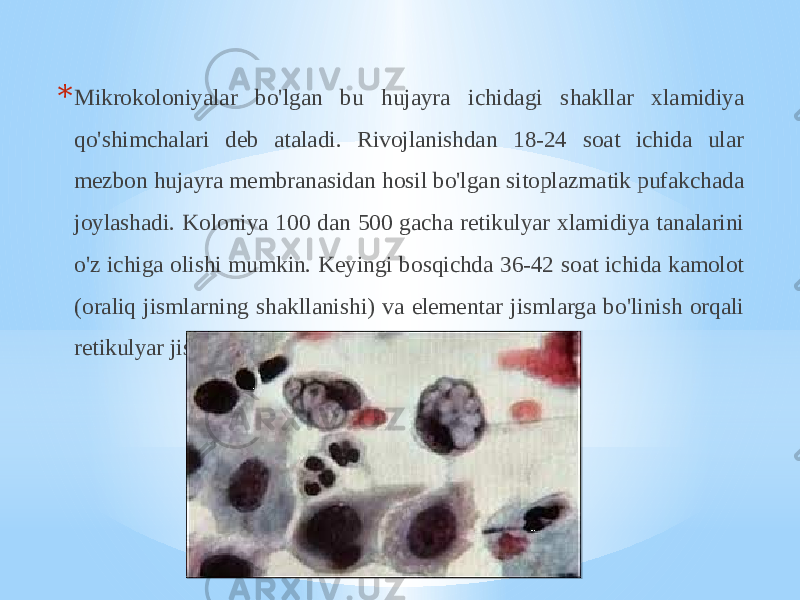 * Mikrokoloniyalar bo&#39;lgan bu hujayra ichidagi shakllar xlamidiya qo&#39;shimchalari deb ataladi. Rivojlanishdan 18-24 soat ichida ular mezbon hujayra membranasidan hosil bo&#39;lgan sitoplazmatik pufakchada joylashadi. Koloniya 100 dan 500 gacha retikulyar xlamidiya tanalarini o&#39;z ichiga olishi mumkin. Keyingi bosqichda 36-42 soat ichida kamolot (oraliq jismlarning shakllanishi) va elementar jismlarga bo&#39;linish orqali retikulyar jismlarning o&#39;zgarishi sodir bo&#39;ladi. 