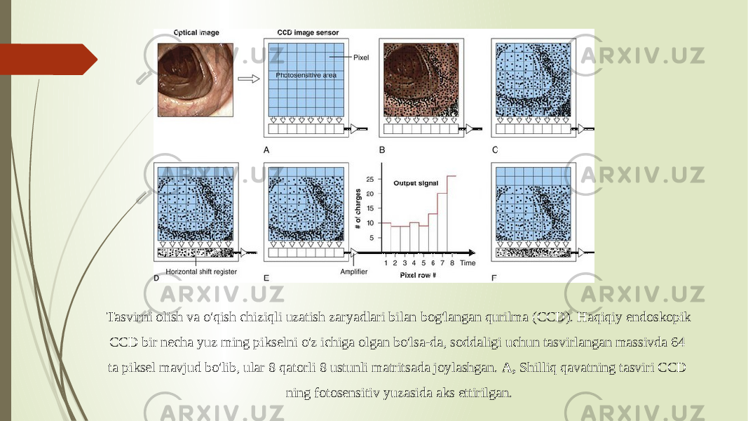 Tasvirni olish va o&#39;qish chiziqli uzatish zaryadlari bilan bog&#39;langan qurilma (CCD). Haqiqiy endoskopik CCD bir necha yuz ming pikselni o&#39;z ichiga olgan bo&#39;lsa-da, soddaligi uchun tasvirlangan massivda 64 ta piksel mavjud bo&#39;lib, ular 8 qatorli 8 ustunli matritsada joylashgan.  A,  Shilliq qavatning tasviri CCD ning fotosensitiv yuzasida aks ettirilgan. 