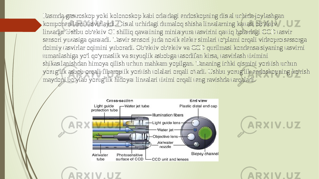 Rasmda gastroskop yoki kolonoskop kabi odatdagi endoskopning distal uchida joylashgan komponentlarni tasvirlaydi. Distal uchidagi dumaloq shisha linzalarning kattasi ob&#39;ektiv linzadir. Ushbu ob&#39;ektiv GI shilliq qavatining miniatyura tasvirini qattiq holatdagi CCD tasvir sensori yuzasiga qaratadi. Tasvir sensori juda nozik elektr simlari to&#39;plami orqali videoprotsessorga doimiy tasvirlar oqimini yuboradi. Ob&#39;ektiv ob&#39;ektiv va CCD qurilmasi kondensatsiyaning tasvirni tumanlashiga yo&#39;l qo&#39;ymaslik va suyuqlik asbobga tasodifan kirsa, tasvirlash tizimini shikastlanishdan himoya qilish uchun mahkam yopilgan. Tananing ichki qismini yoritish uchun yorug&#39;lik asbob orqali fiberoptik yoritish tolalari orqali o&#39;tadi. Ushbu yorug&#39;lik endoskopning ko&#39;rish maydoni bo&#39;ylab yorug&#39;lik hidoyat linzalari tizimi orqali teng ravishda tarqaladi. 