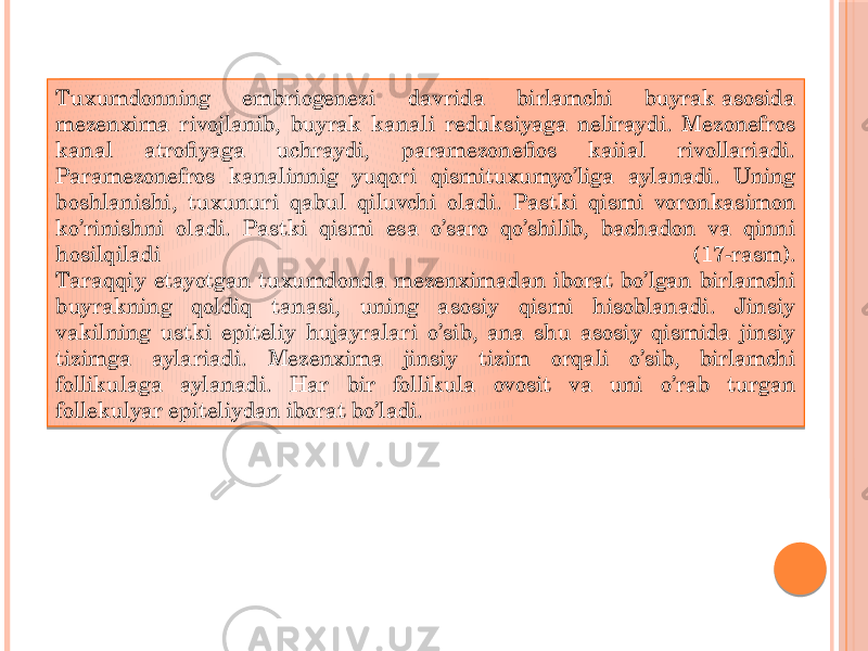 Tuxumdonning embriogenezi davrida birlamchi buyrak asosida mezenxima rivojlanib, buyrak kanali reduksiyaga neliraydi. Mezonefros kanal atrofiyaga uchraydi, paramezonefios kaiial rivollariadi. Paramezonefros kanalinnig yuqori qismituxumyo’liga aylanadi. Uning boshlanishi, tuxunuri qabul qiluvchi oladi. Pastki qismi voronkasimon ko’rinishni oladi. Pastki qismi esa o’saro qo’shilib, bachadon va qinni hosilqiladi (17-rasm). Taraqqiy etayotgan tuxumdonda mezenximadan iborat bo’lgan birlamchi buyrakning qoldiq tanasi, uning asosiy qismi hisoblanadi. Jinsiy vakilning ustki epiteliy hujayralari o’sib, ana shu asosiy qismida jinsiy tizimga aylariadi. Mezenxima jinsiy tizim orqali o’sib, birlamchi follikulaga aylanadi. Har bir follikula ovosit va uni o’rab turgan follekulyar epiteliydan iborat bo’ladi. 01 1110 190A0D0A0C 39 12020E 19 0F02 01 1214 08 0B06 25 25 