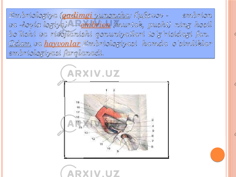 Embriologiya ( qadimgi yunoncha :  μβρυον - embrion ἔ va -λογία logiya) —  embrion  (murtak, pusht) ning hosil bo lishi va rivojlanishi qonuniyatlari to g risidagi fan.  ʻ ʻ ʻ Odam  va  hayvonlar  Embriologiyasi hamda o simliklar ʻ embriologiyasi farqlanadi. 01 0D 0F 0910 140B01 1D 1C 0B 03 02 2C0E 0B1D 13 0B01 02 1C 