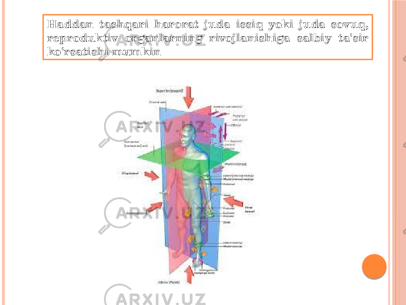 Haddan tashqari harorat juda issiq yoki juda sovuq, reproduktiv organlarning rivojlanishiga salbiy ta&#39;sir ko&#39;rsatishi mumkin 